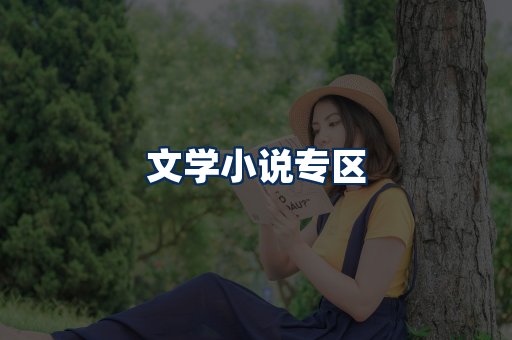文学小说PDF展示